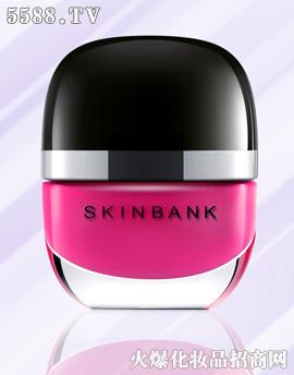 BT\(chng)|ɷ޹˾SKINBANKָõt